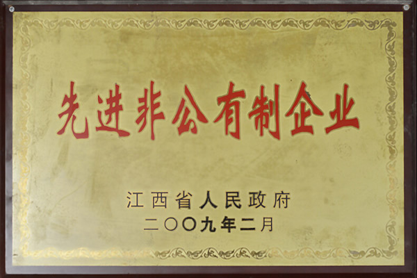先進(jìn)非公有制企業(yè)
